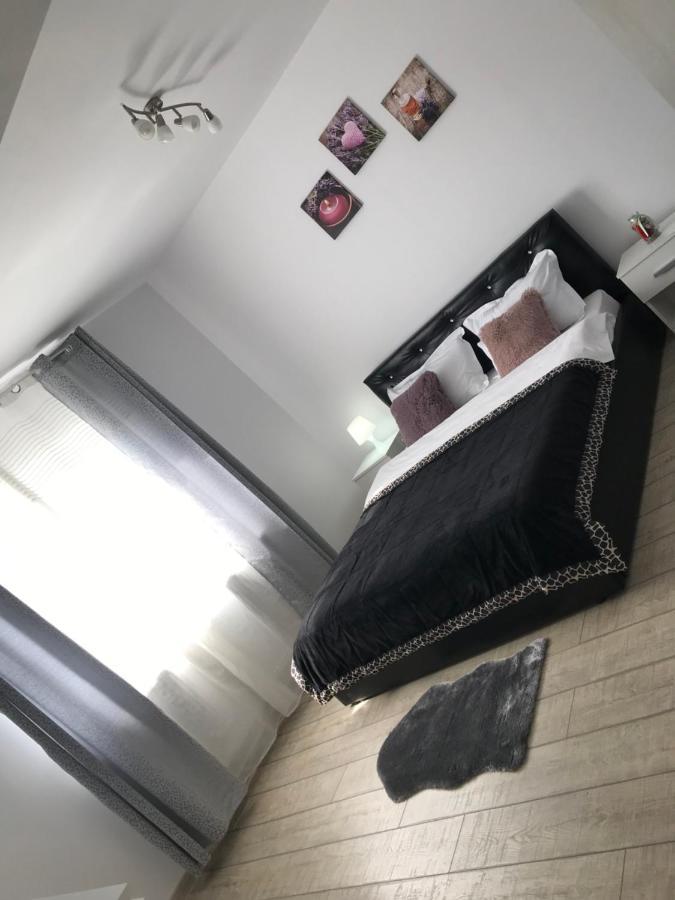 Cazare Apartament Rasnov Apartment Exterior photo